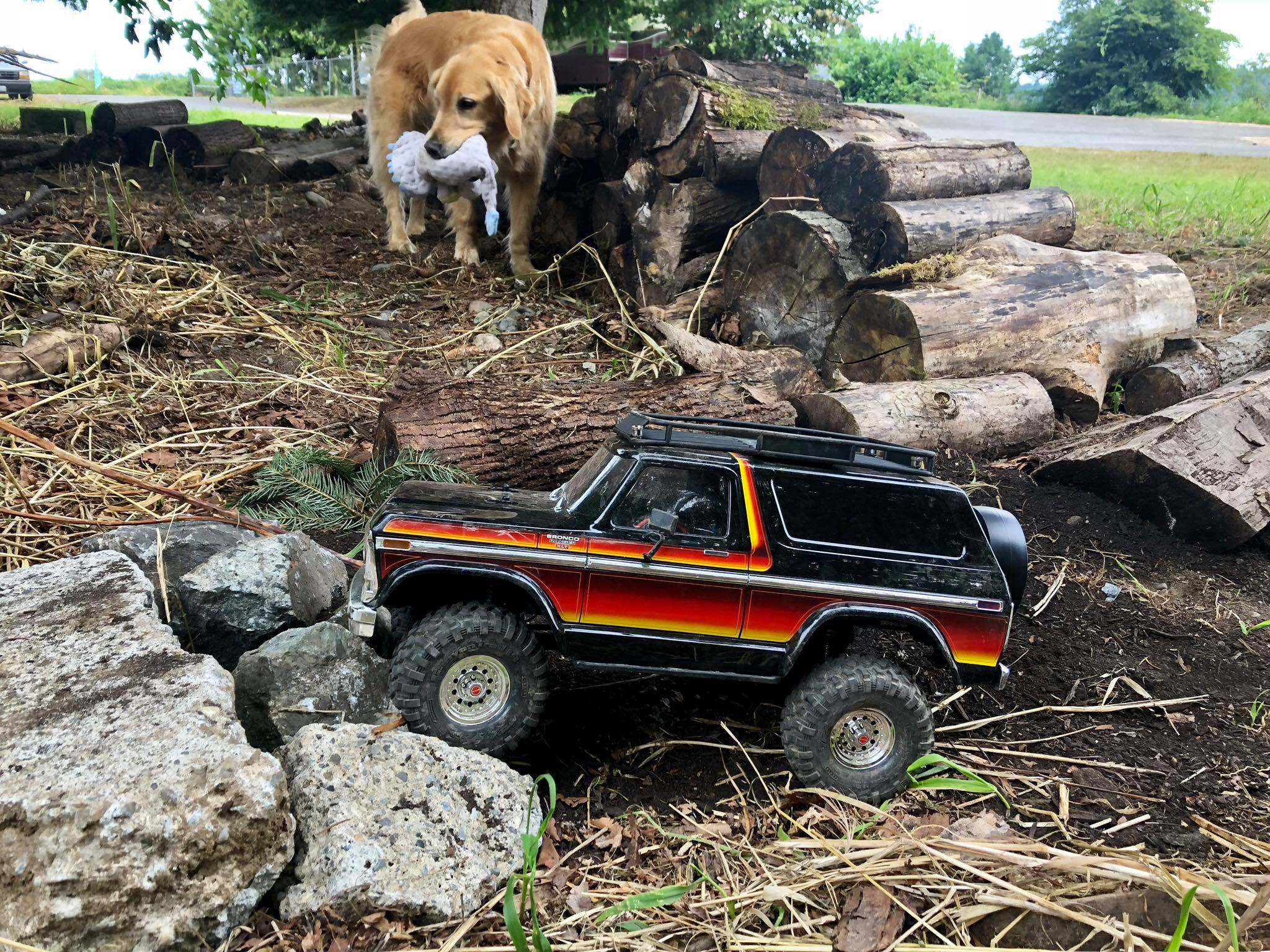 program-scalerc | DieHard RC