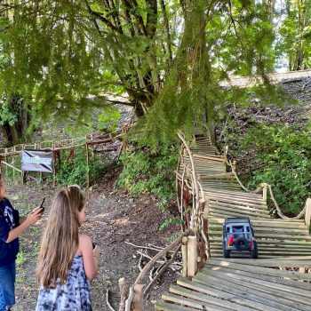 kids and bridge